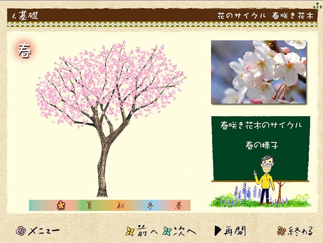 春咲き花木の生育サイクル
