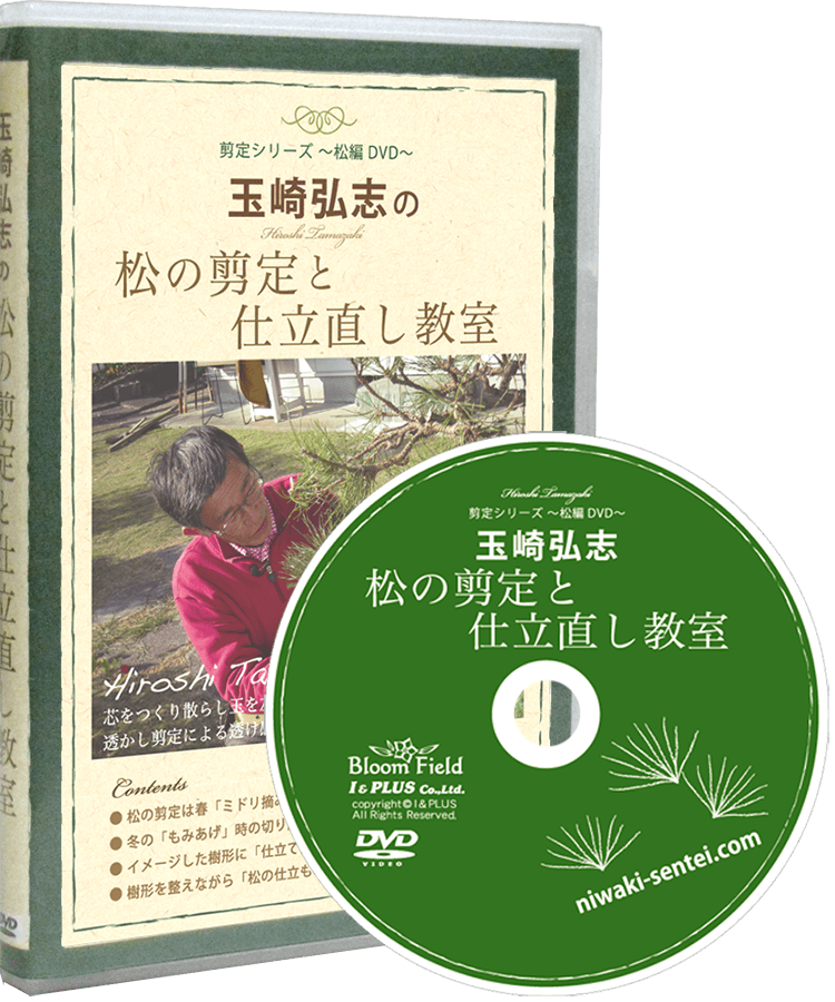 商品の詳細 DVD 玉崎弘志の松の剪定と仕立て直し教室